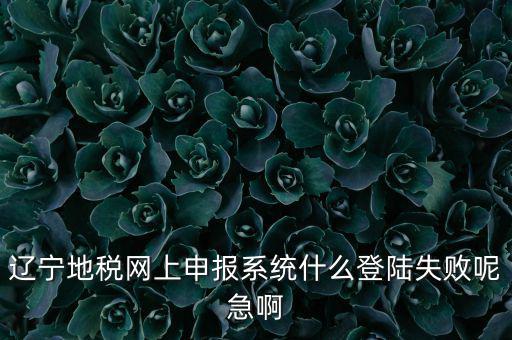 遼寧網(wǎng)上報稅為什么進不去，遼寧地稅網(wǎng)上申報系統(tǒng)什么登陸失敗呢急啊