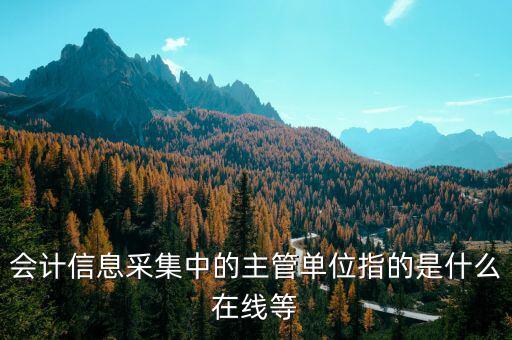 主管征收機關填什么，會計信息采集中的主管單位指的是什么在線等