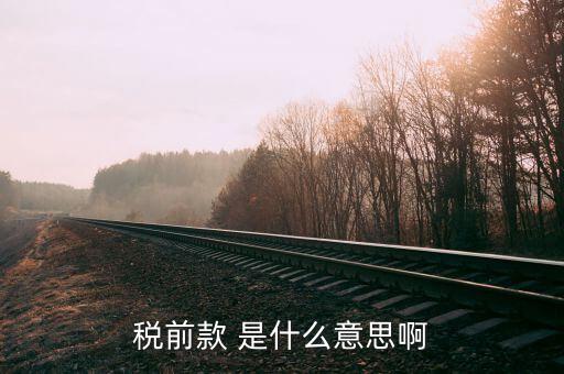 什么是稅前項目費，稅前款 是什么意思啊