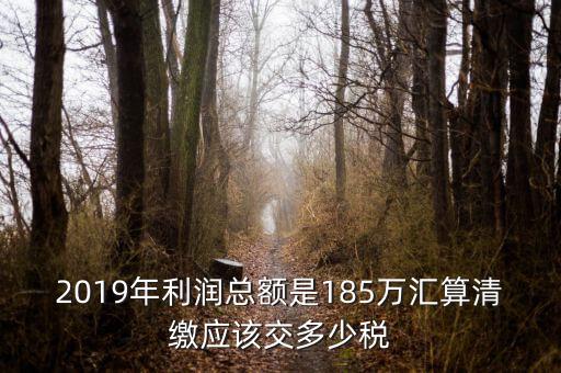 匯算清繳交什么稅，年度匯算清繳應(yīng)交稅率是多少