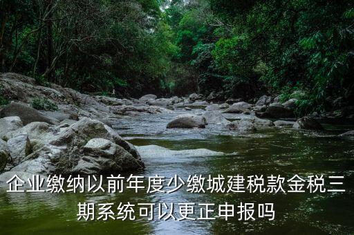 金稅三期更正申報(bào)需要什么資料，企業(yè)繳納以前年度少繳城建稅款金稅三期系統(tǒng)可以更正申報(bào)嗎