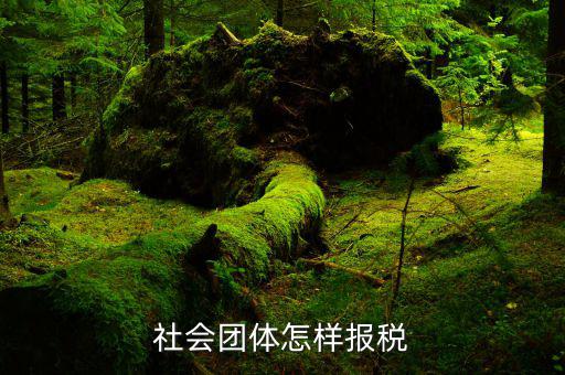 社會團體應交什么稅，社會團體納稅問題