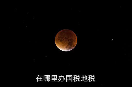 什么在地稅辦，在哪里辦國(guó)稅地稅