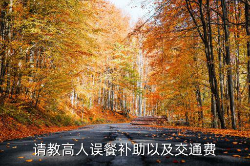 請教高人誤餐補(bǔ)助以及交通費
