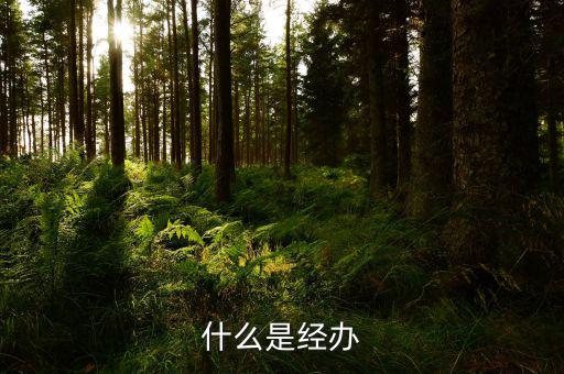 稅務(wù)文書經(jīng)辦是什么意思，什么是經(jīng)辦