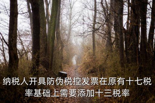 金稅卡加稅率有什么，金稅盤稅額問題