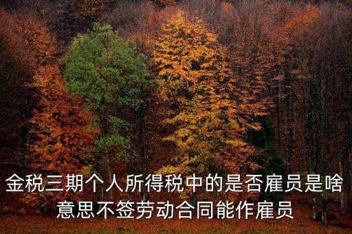 金稅非雇員什么意思，地稅金三期 個(gè)稅申報(bào)表中的雇員非雇員是什么意思 該填哪些人
