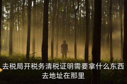 開清稅證明需要帶什么材料，各位親誰知道去國稅局開清稅證明需要帶什么