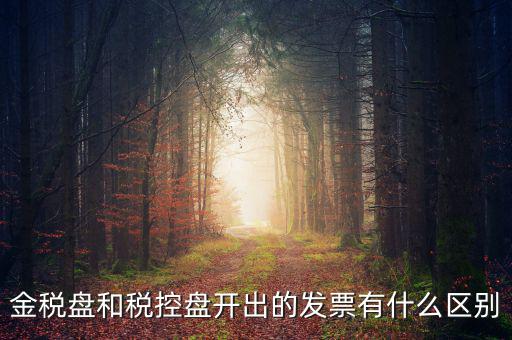 金稅盤和稅控盤是什么，金稅盤和稅控盤開(kāi)出的發(fā)票有什么區(qū)別