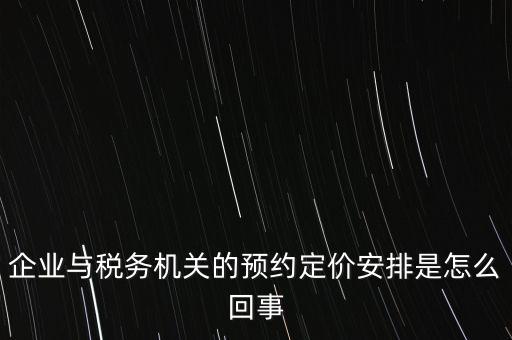 125執(zhí)行預(yù)約定價(jià)安排是什么意思，125是什么意思