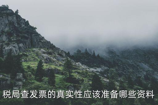 稅務(wù)局主要查發(fā)票什么資料，稅局查發(fā)票的真實(shí)性應(yīng)該準(zhǔn)備哪些資料