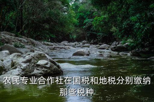 稅務(wù)局向合作社收取什么稅，農(nóng)民專業(yè)合作社在國稅和地稅分別繳納那些稅種