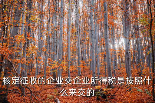 核定稅稅率是按照什么作參照的，稅率按照哪個(gè)來定