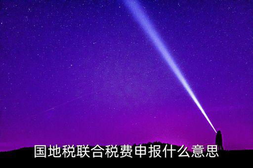 國稅地稅聯(lián)合有什么用，國地稅聯(lián)合稅費申報什么意思