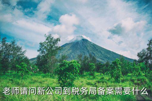 稅務(wù)報(bào)備需要什么材料，稅務(wù)備案需要哪些資料