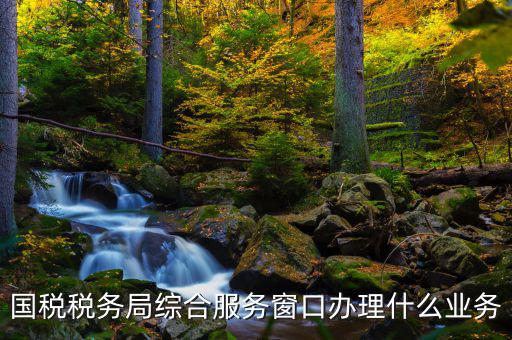 國稅大廳辦理什么業(yè)務(wù)，辦稅大廳都做些什么事