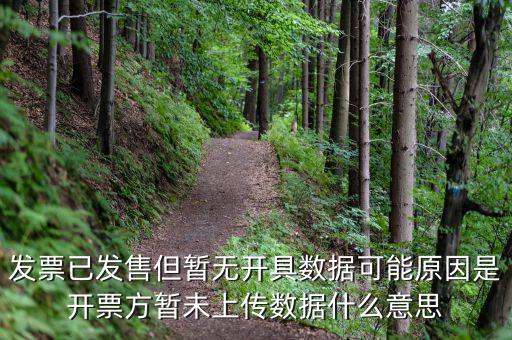 百旺的開票未上傳是什么意思，發(fā)票已發(fā)售但暫無開具數(shù)據可能原因是開票方暫未上傳數(shù)據什么意思