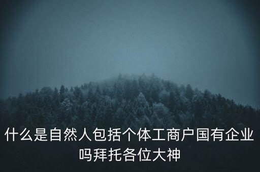 什么是稅務(wù)中的自然人，會(huì)計(jì)中自然人所指的是那種人
