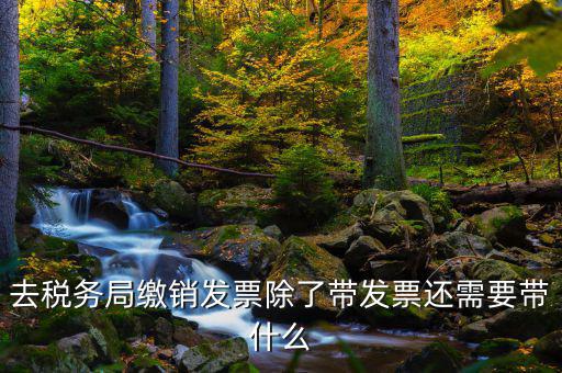 發(fā)票繳銷需要什么，未使用的發(fā)票如何繳銷需要哪些資料