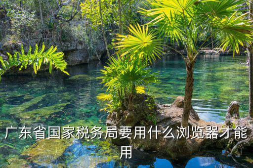 報稅要什么瀏覽器，山東國稅網(wǎng)上申報系統(tǒng)需要什么瀏覽器