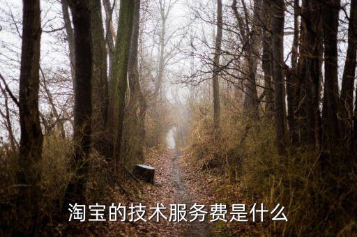 技術(shù)咨詢服務(wù)費(fèi)指什么，醫(yī)藥行業(yè)技術(shù)服務(wù)費(fèi)包含什么內(nèi)容