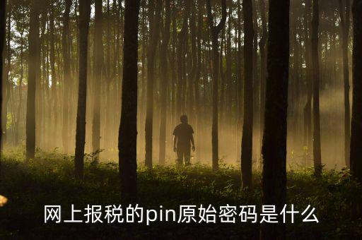 網上報稅的pin原始密碼是什么