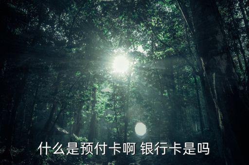 支付機(jī)構(gòu)預(yù)付卡是什么意思，銀聯(lián)預(yù)付卡是什么意思