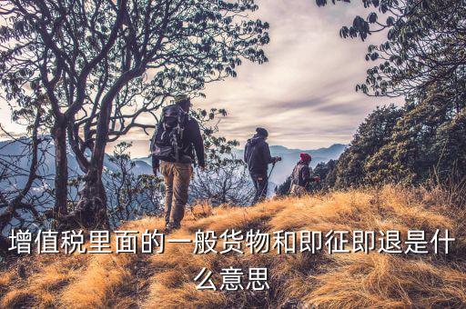 什么叫即征即退政策，增值稅里面的一般貨物和即征即退是什么意思