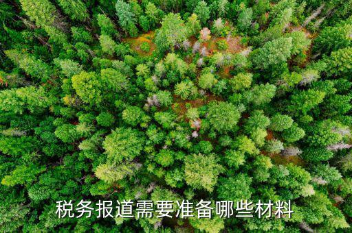 去國稅報道需要拿什么手續(xù)，剛申請的公司到稅務局報道需要手續(xù)