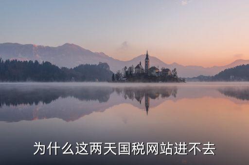 為什么濟(jì)南國(guó)稅網(wǎng)站進(jìn)不去，為什么這兩天國(guó)稅網(wǎng)站進(jìn)不去