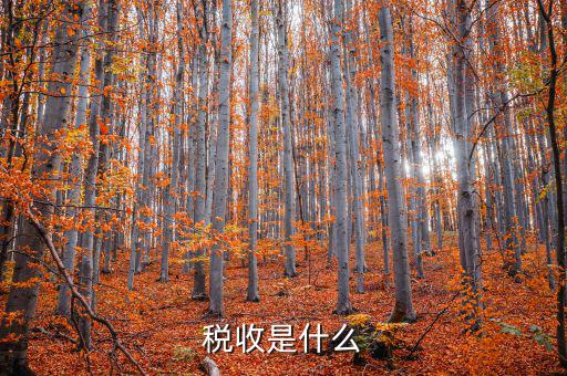 稅務(wù)的稅稅通是什么，稅收通用繳款書上的代碼指的是什么