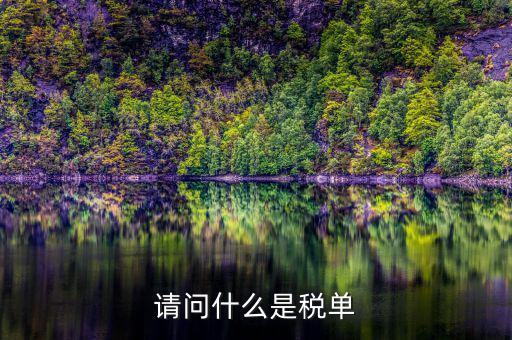 納稅申報單是什么，網(wǎng)上申報納稅都是什么報表 如何操作 簡單么