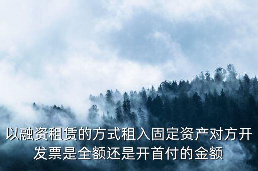 以融資租賃的方式租入固定資產對方開發(fā)票是全額還是開首付的金額