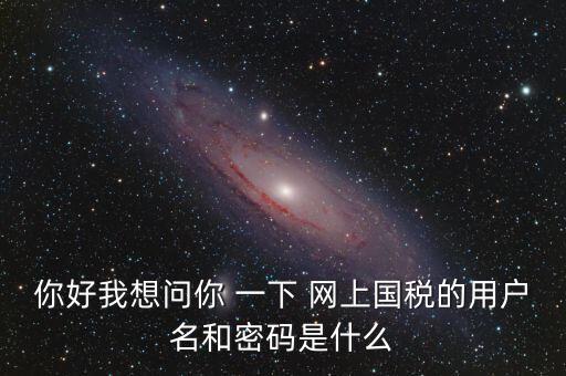 你好我想問(wèn)你 一下 網(wǎng)上國(guó)稅的用戶名和密碼是什么