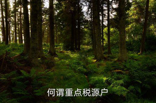 為什么要填重點(diǎn)稅源啊，重點(diǎn)稅源的介紹