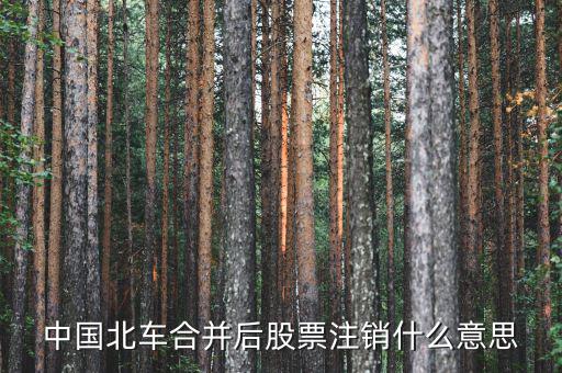 聯(lián)合注銷是什么意思，我們現(xiàn)在兩家公司要合并注冊資本沒有變換了法人換了注冊地