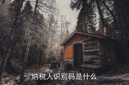 稅務(wù)識別碼有什么用，納稅人識別碼是什么