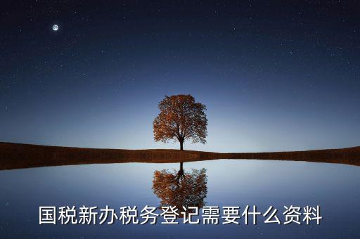 辦理國(guó)稅都需要帶什么，國(guó)稅登記需要帶什么資料