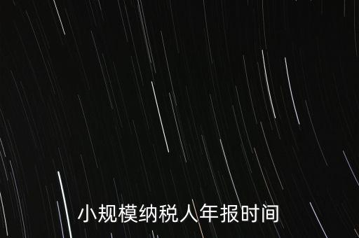納稅申報(bào)年報(bào)什么時(shí)候，小規(guī)模納稅人年報(bào)時(shí)間