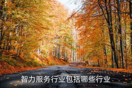 涉稅專業(yè)服務(wù)機(jī)構(gòu)包括什么，智力服務(wù)行業(yè)包括哪些行業(yè)