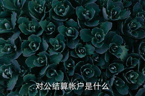 什么是稅務(wù)待結(jié)算賬戶，結(jié)算賬戶有哪些