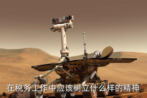 什么是地稅精神，在稅務(wù)工作中應(yīng)該樹立什么樣的精神