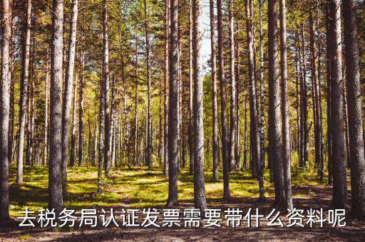 去稅務(wù)局認證發(fā)票需要帶什么資料呢