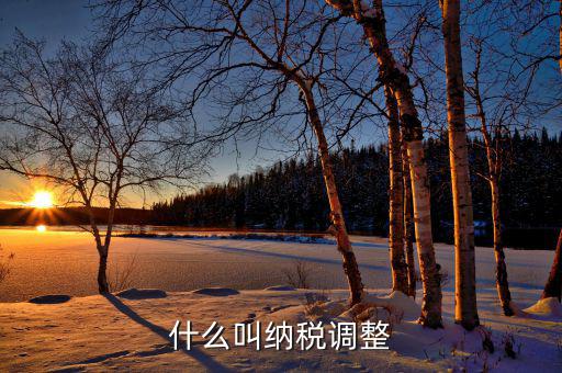 什么是納稅調(diào)整減少額，納稅調(diào)整增加額和減少額都包括哪些項(xiàng)目