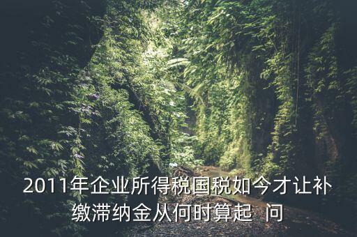 納稅滯納金什么時候算，企業(yè)所得稅滯納金計算從何時開始計算