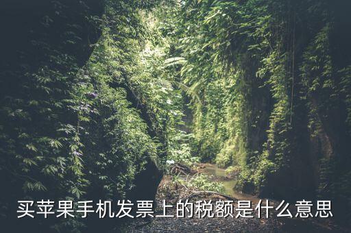 發(fā)票上的稅額是什么意思，買蘋果手機發(fā)票上的稅額是什么意思