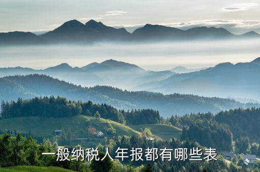 國(guó)稅年報(bào)是什么表，年報(bào)是指哪些報(bào)表是112月的嗎