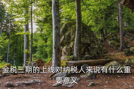 金三稅系統(tǒng)什么時(shí)間上線的，2016年金稅三期上線那金稅三期到底是啥呢