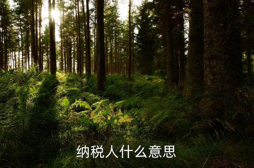 納稅資格什么意思，具有納稅人資格是什么意思