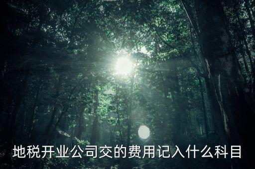 地稅開(kāi)業(yè)公司交的費(fèi)用記入什么科目